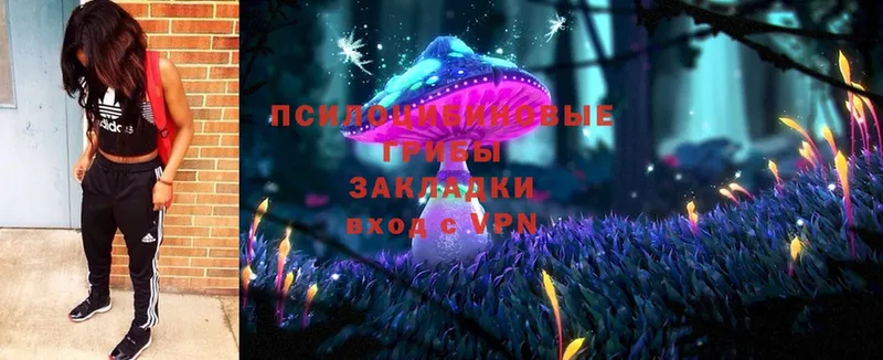 Псилоцибиновые грибы Magic Shrooms  Шелехов 